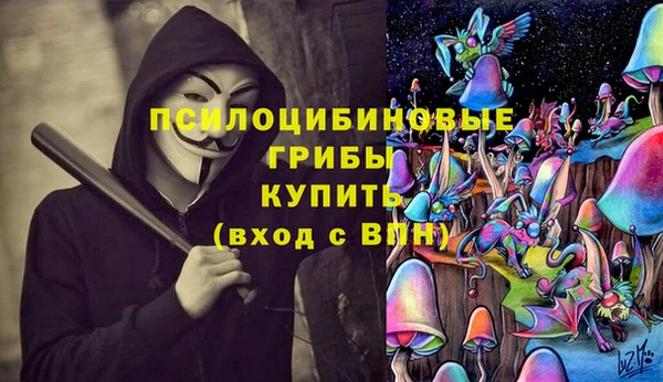 дурь Гусиноозёрск