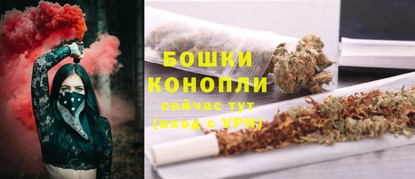 СК Аркадак